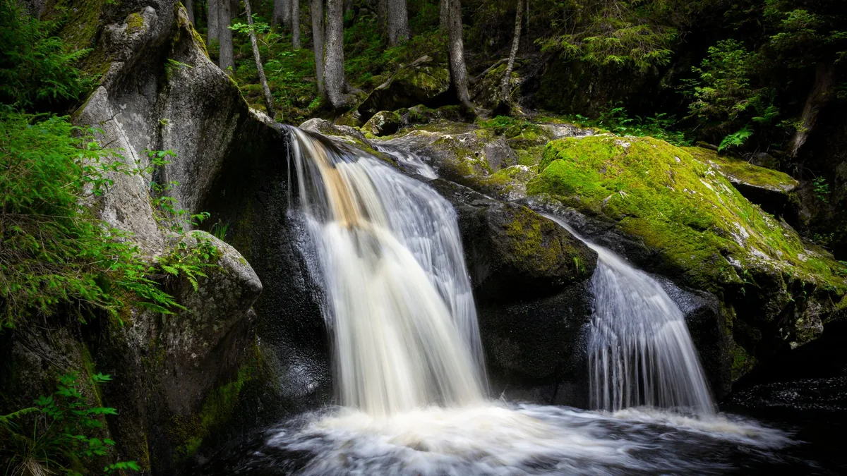 A tranquil waterfall flows over moss-covered rocks in a lush forest, capturing nature's serene beauty.